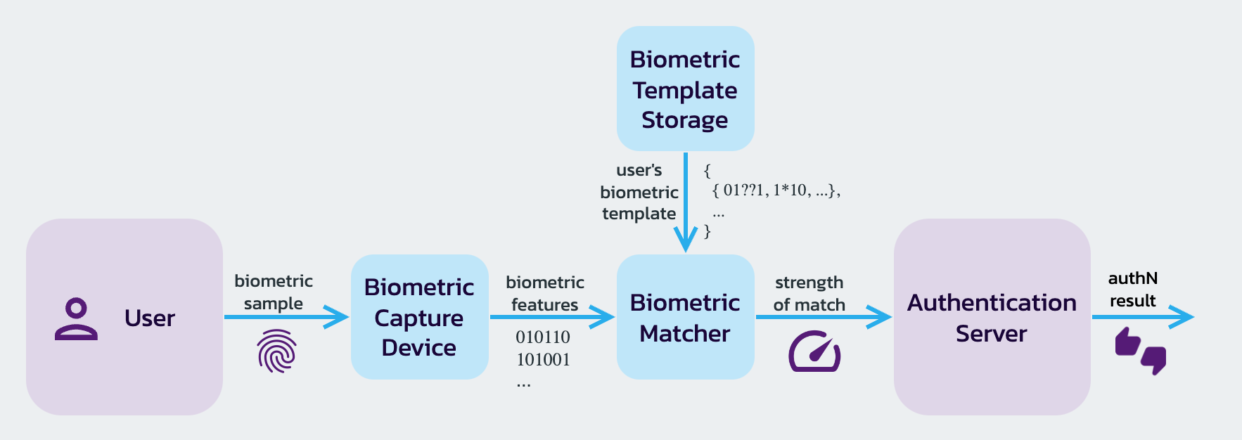 authn-using-biometrics-process.png